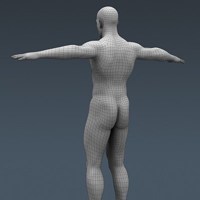 Human Male Body, Muscular, Respiratory System and Skeleton - Anatomy 3D Model .max .obj .3ds .fbx .lwo .lw .lws .c4d