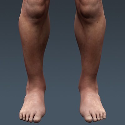Human Male Body, Muscular, Respiratory System and Skeleton - Anatomy 3D Model .max .obj .3ds .fbx .lwo .lw .lws .c4d