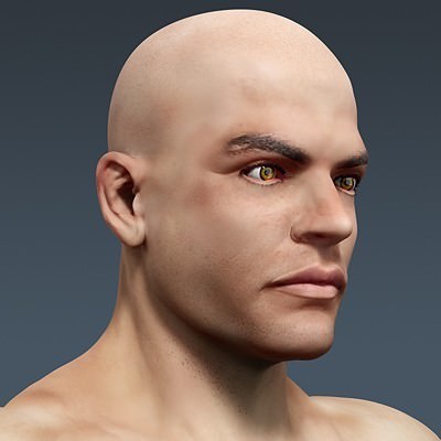 Human Male Body, Muscular, Respiratory System and Skeleton - Anatomy 3D Model .max .obj .3ds .fbx .lwo .lw .lws .c4d