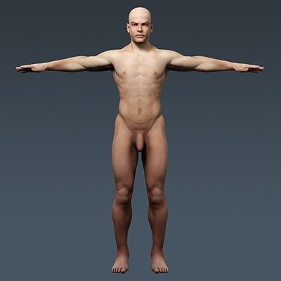 Human Male Body, Muscular, Respiratory System and Skeleton - Anatomy 3D Model .max .obj .3ds .fbx .lwo .lw .lws .c4d