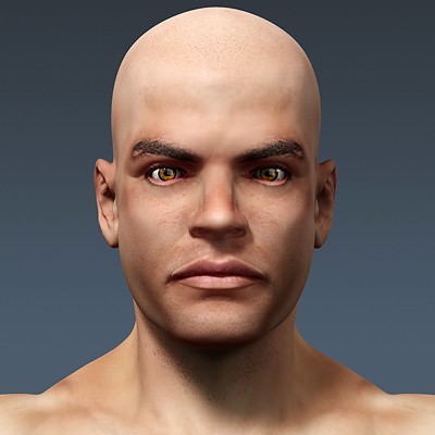 Human Male Body, Muscular, Respiratory System and Skeleton - Anatomy 3D Model .max .obj .3ds .fbx .lwo .lw .lws .c4d