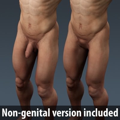 Human Male Body, Muscular, Respiratory System and Skeleton - Anatomy 3D Model .max .obj .3ds .fbx .lwo .lw .lws .c4d