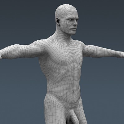 Human Male Body, Muscular, Respiratory System and Skeleton - Anatomy 3D Model .max .obj .3ds .fbx .lwo .lw .lws .c4d