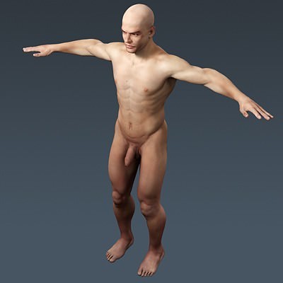 Human Male Body, Muscular, Respiratory System and Skeleton - Anatomy 3D Model .max .obj .3ds .fbx .lwo .lw .lws .c4d