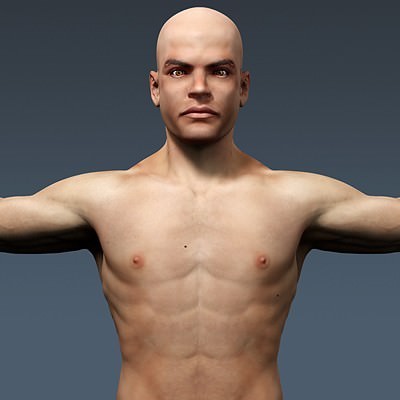 Human Male Body, Muscular, Respiratory System and Skeleton - Anatomy 3D Model .max .obj .3ds .fbx .lwo .lw .lws .c4d