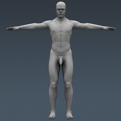 Human Male Body, Muscular, Respiratory System and Skeleton - Anatomy 3D Model .max .obj .3ds .fbx .lwo .lw .lws .c4d