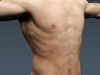 Human Male Body, Muscular, Respiratory System and Skeleton - Anatomy 3D Model .max .obj .3ds .fbx .lwo .lw .lws .c4d