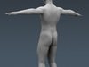 Human Male Body, Muscular, Respiratory System and Skeleton - Anatomy 3D Model .max .obj .3ds .fbx .lwo .lw .lws .c4d