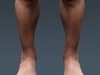Human Male Body, Muscular, Respiratory System and Skeleton - Anatomy 3D Model .max .obj .3ds .fbx .lwo .lw .lws .c4d