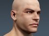 Human Male Body, Muscular, Respiratory System and Skeleton - Anatomy 3D Model .max .obj .3ds .fbx .lwo .lw .lws .c4d