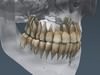 Human Male Body, Muscular, Respiratory System and Skeleton - Anatomy 3D Model .max .obj .3ds .fbx .lwo .lw .lws .c4d