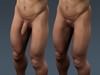 Human Male Body, Muscular, Respiratory System and Skeleton - Anatomy 3D Model .max .obj .3ds .fbx .lwo .lw .lws .c4d