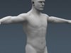 Human Male Body, Muscular, Respiratory System and Skeleton - Anatomy 3D Model .max .obj .3ds .fbx .lwo .lw .lws .c4d