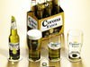 Corona Beer Collection 3D Model .max .obj .3ds .fbx