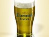 Corona Beer Collection 3D Model .max .obj .3ds .fbx