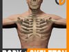 Human Male Body and Skeleton - Anatomy 3D Model