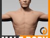Human Male Body - Anatomy 3D Model