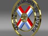 Paraguaya football emblem 3D Model