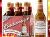 Budweiser Beer Bottle - Six Cardboard Pack 3D Model