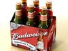 Budweiser Beer Collection. 3D Model .max .obj .3ds .fbx