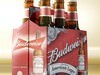Budweiser Beer Collection. 3D Model .max .obj .3ds .fbx