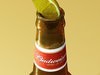 Budweiser Beer Collection. 3D Model .max .obj .3ds .fbx