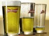 Budweiser Beer Collection. 3D Model .max .obj .3ds .fbx