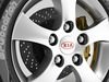 Wheel Kia 2 3D Model .max .obj .3ds .fbx