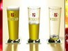 Becks Beer Glass Pint 3D Model .max .obj .3ds .fbx
