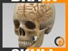 Human Brain and Skull - Anatomy 3D Model