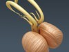 Human Brain - Anatomy 3D Model .max .obj .3ds .fbx .lwo .lw .lws .c4d