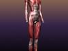 Muscular System of a Human 3D Model