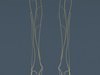 Human Brain and Nervous System - Anatomy 3D Model .max .obj .3ds .fbx .lwo .lw .lws .c4d
