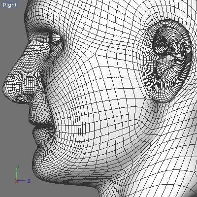 Joe 3D Model .obj .3ds .fbx .c4d .dxf .X