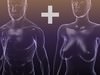 Male And Female Anatomy - transparent bodies Pack 3D Model