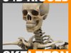 Human Skeleton Cinema 4D Rigged 3D Model
