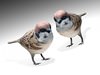 Sparrow bird 3D Model