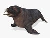 Realistic Prehistoric Walrus 3D Model