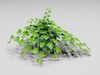 Plant 3D Model