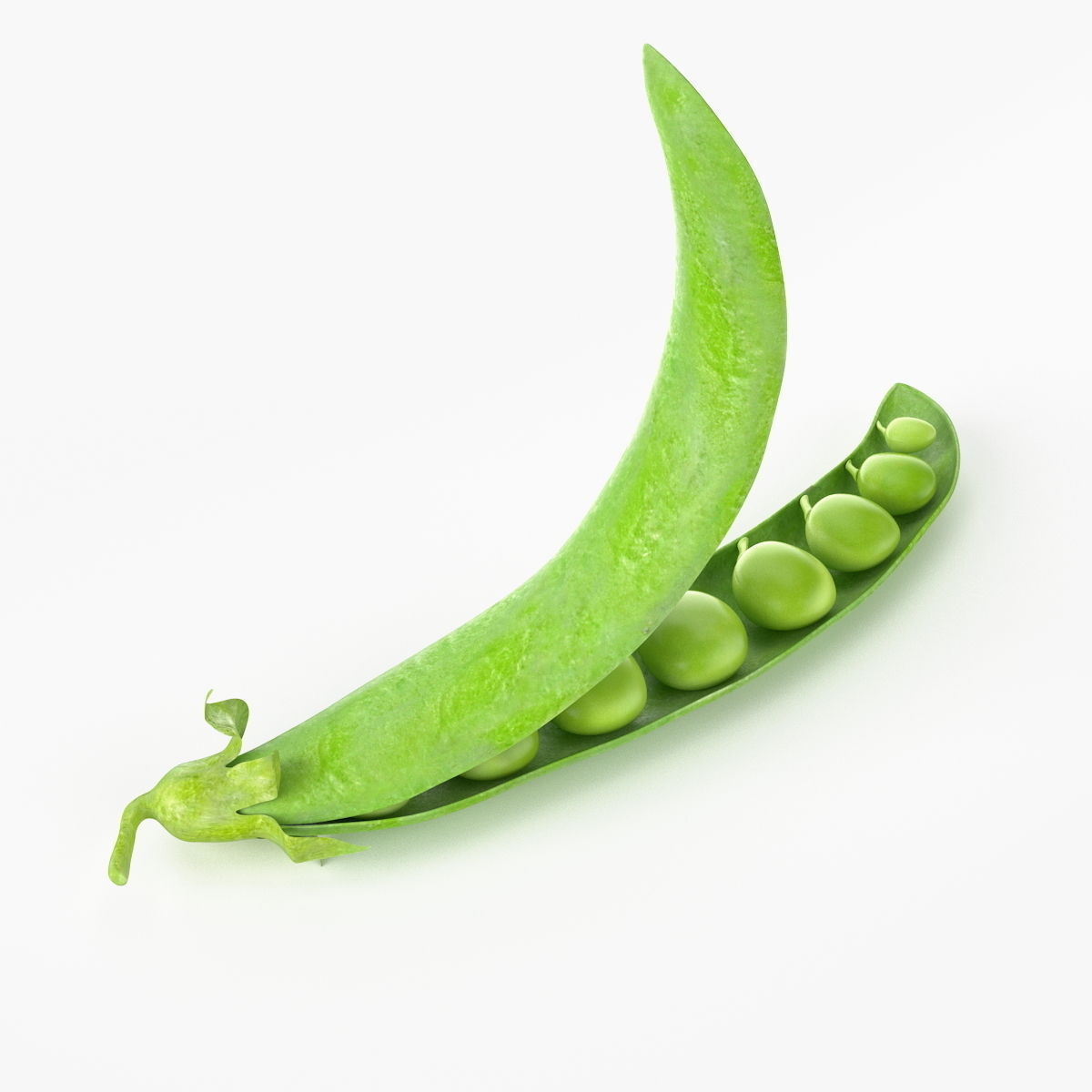 Realistic Peas 3D Model .max .obj .fbx .c4d