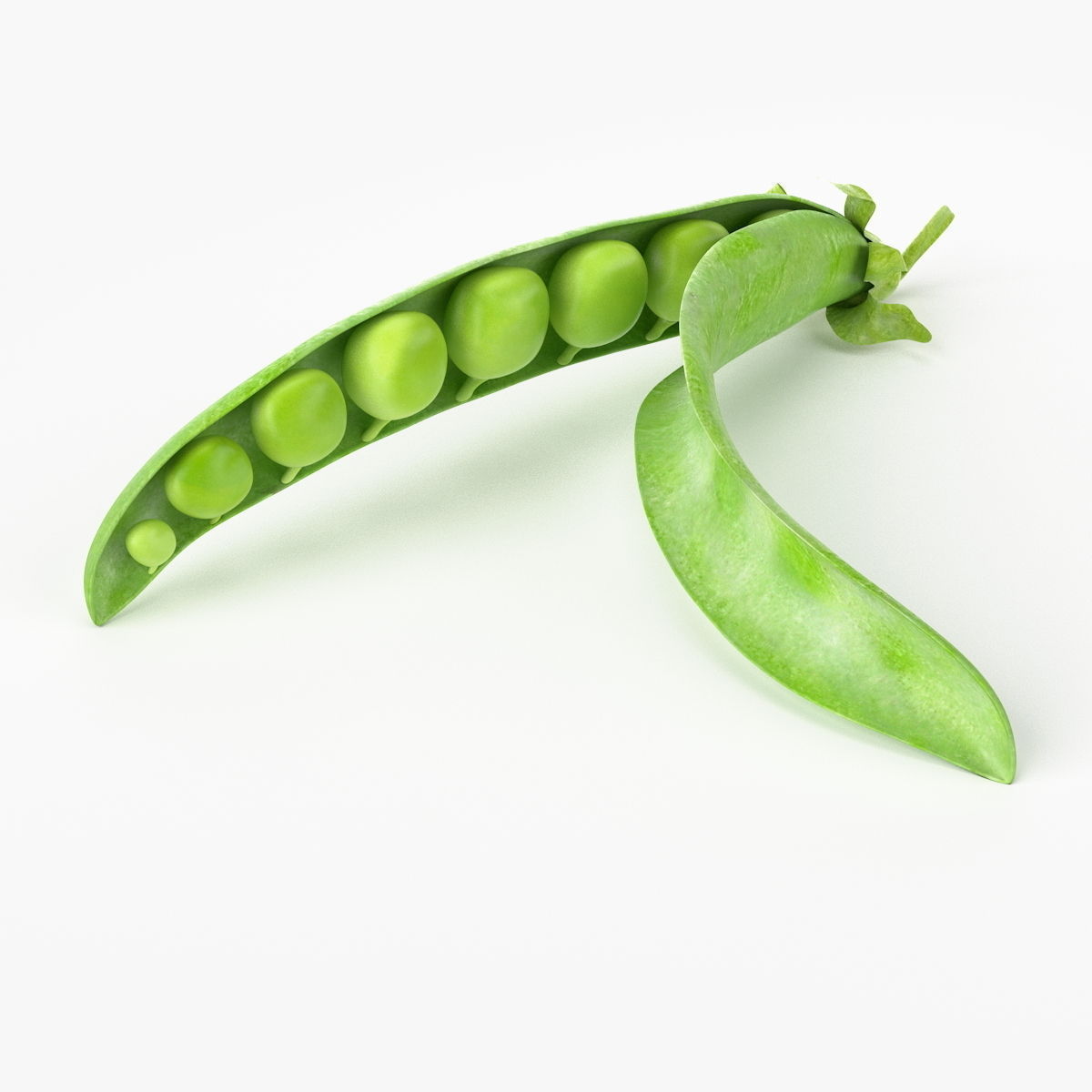 Realistic Peas 3D Model .max .obj .fbx .c4d