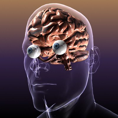 Brain with Eyes in a Human Head 3D Model .max .obj .3ds .fbx .lwo .lw .lws .c4d