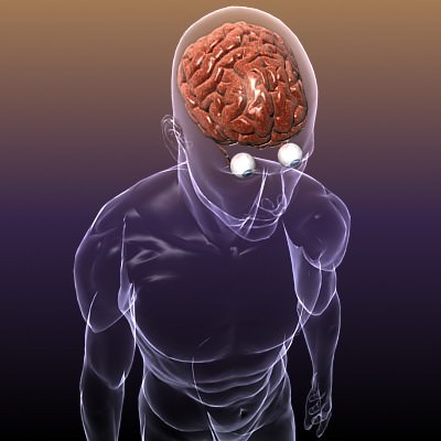 Brain with Eyes in a Human Head 3D Model .max .obj .3ds .fbx .lwo .lw .lws .c4d