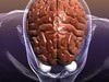 Brain with Eyes in a Human Head 3D Model .max .obj .3ds .fbx .lwo .lw .lws .c4d