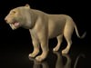 Shera 3D Model