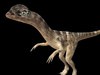 Tirosaurus Dinosour 3D Model