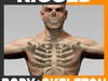 Rigged Human Male Body and Skeleton 3D Model