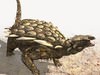 Gargoyleosaurus DR for Poser 3D Model