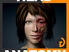 Human Female Head Anatomy 3D Model