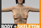 Human Female Body and Skeleton - Anatomy